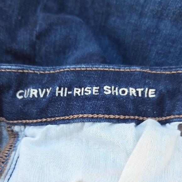 American Eagle Curvy Hi-Rise Shortie Size 12 - Picture 5 of 9